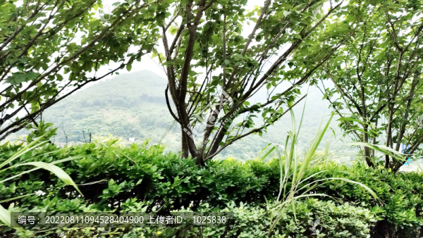路邊風(fēng)景