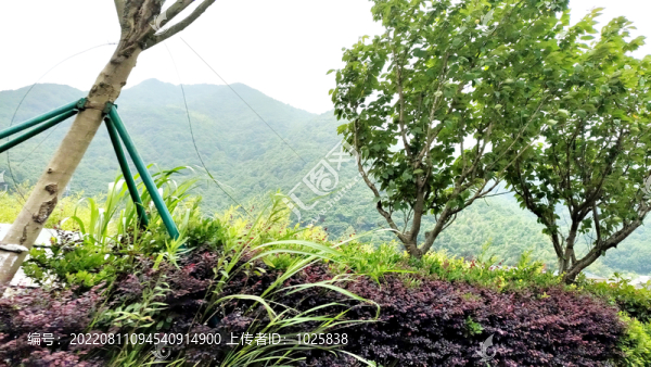 路邊風(fēng)景