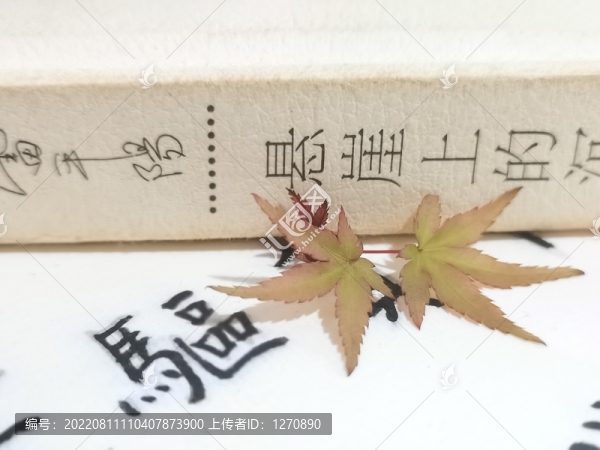 楓葉