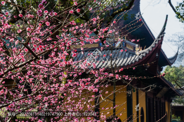 杭州靈隱寺