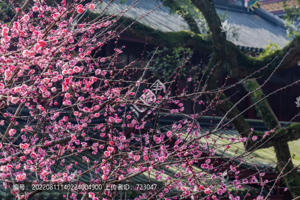 杭州靈隱寺