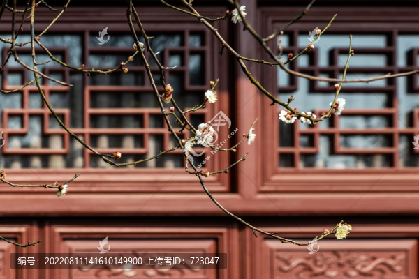 杭州永福寺