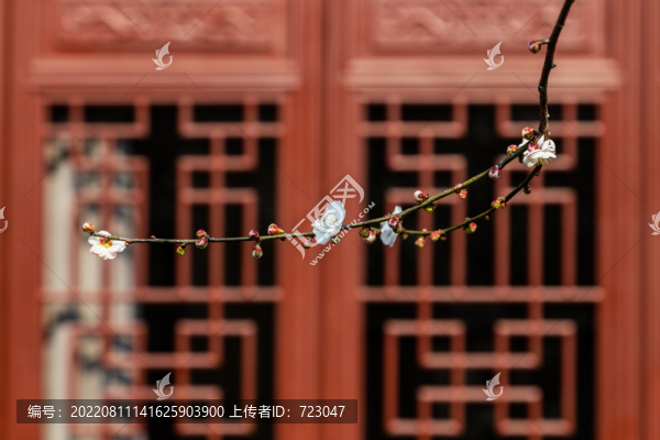 杭州永福寺
