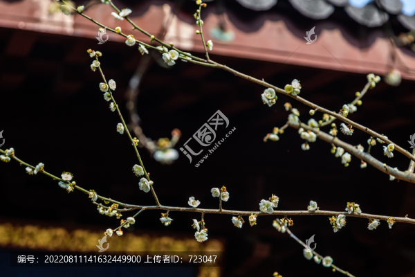杭州永福寺