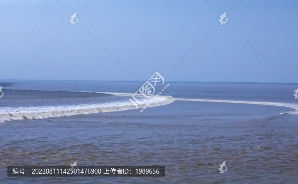 交叉潮