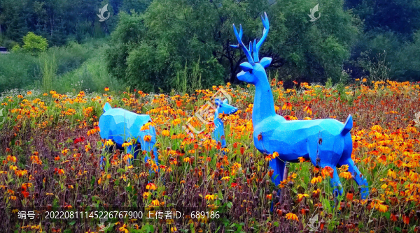 花海景色