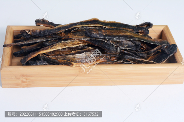 中藥地龍