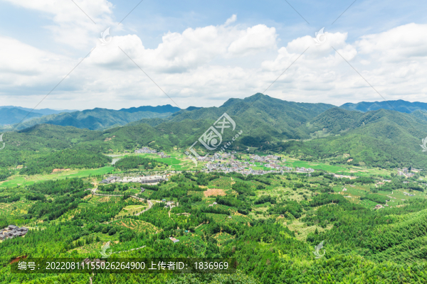 青山