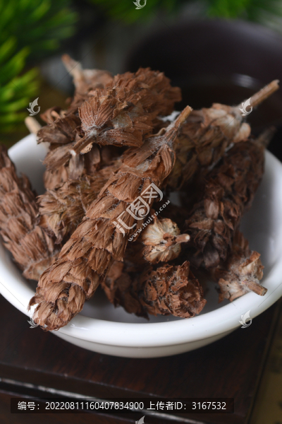 中草藥夏枯草