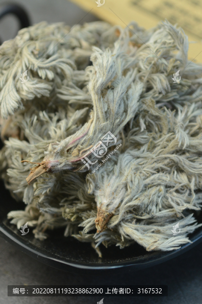 中草藥茵陳