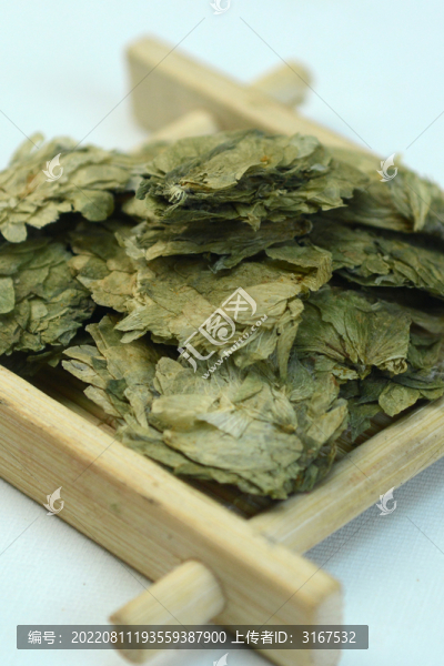 中草藥啤酒花