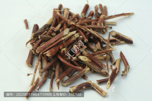 中草藥忍冬藤