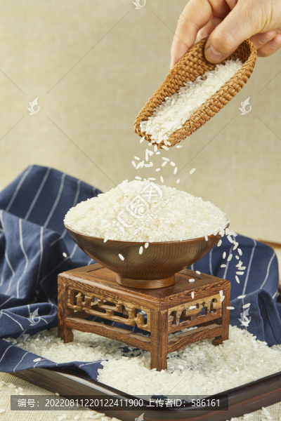 大米