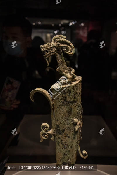 中國(guó)三星堆博物館青銅龍柱形器