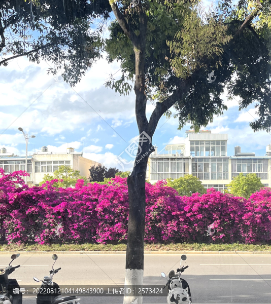 城市一角