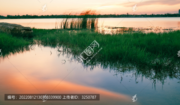 水中夕陽的倒影