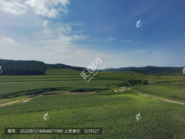 晴空田地