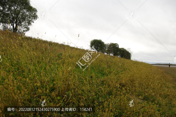 黑龍江邊濕地風(fēng)光
