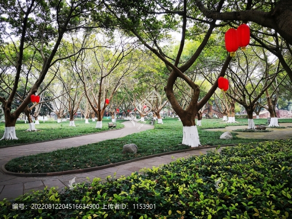 森林公園