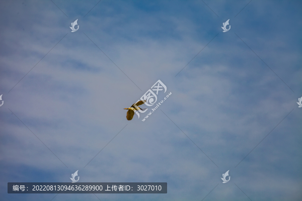 壽縣鳥島
