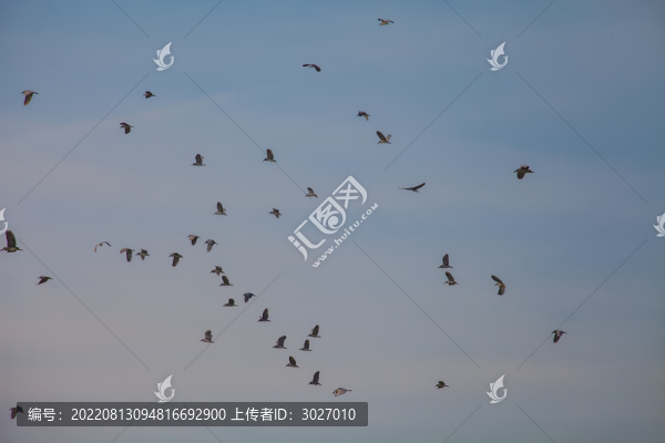 壽縣鳥島