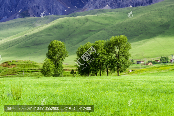 百里畫廊之夏