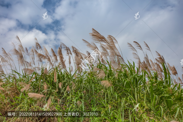 響洪甸水庫(kù)庫(kù)區(qū)風(fēng)光