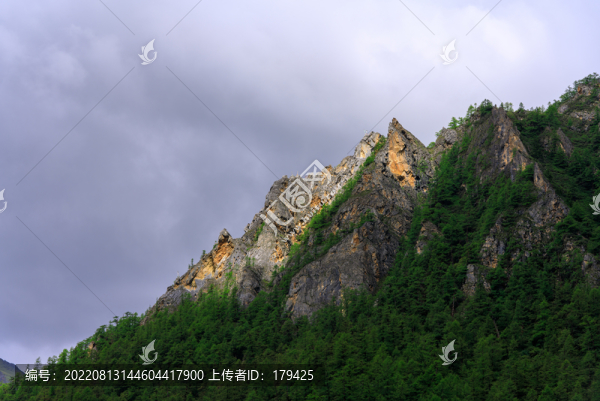 藏區(qū)甘孜稻城亞丁原始森林