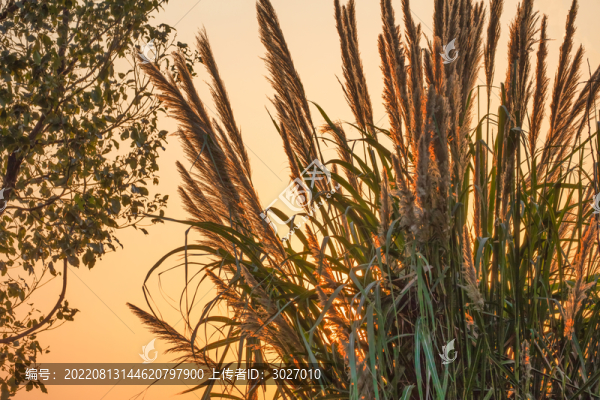 銅陵大通古鎮(zhèn)夕照