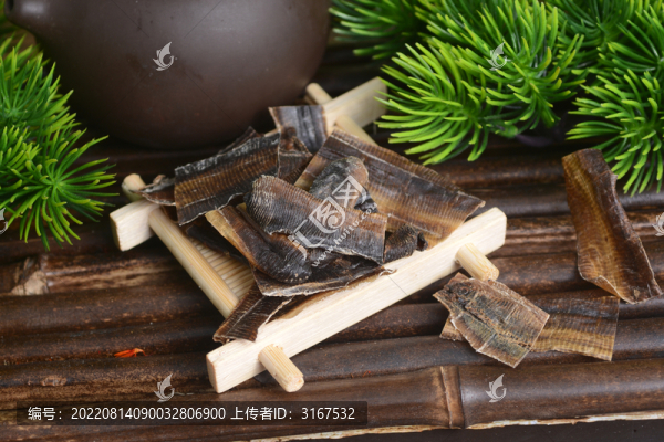 中藥地龍