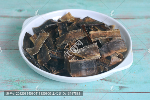 中藥地龍