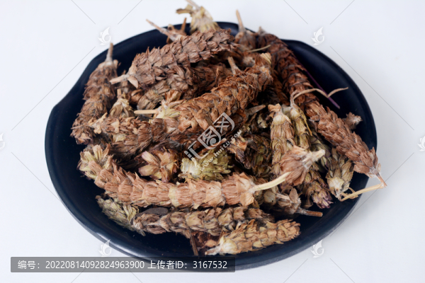 中草藥夏枯草