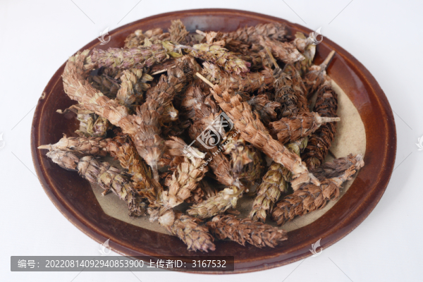 中草藥夏枯草