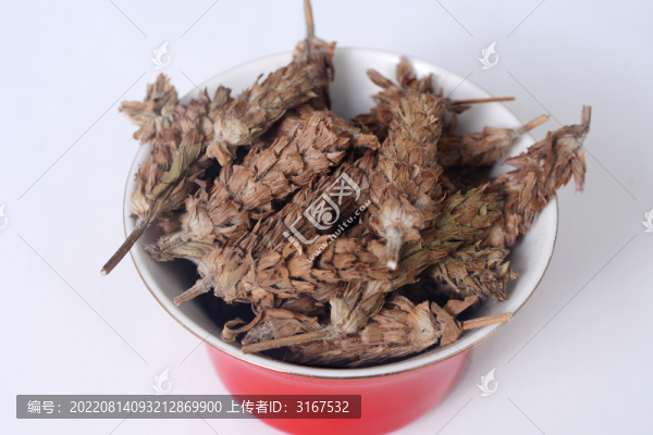 中草藥夏枯草