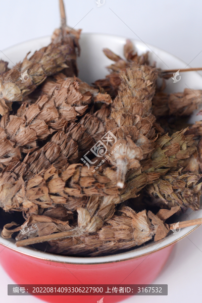 中草藥夏枯草