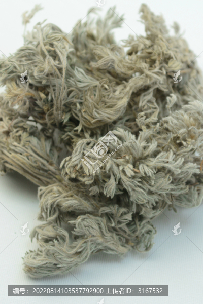 中草藥茵陳