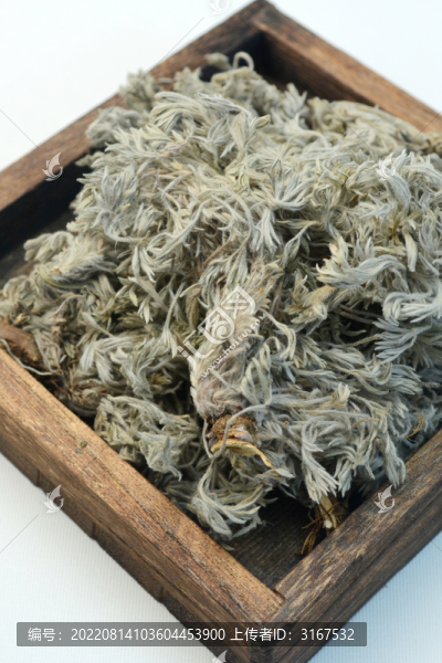 中草藥茵陳