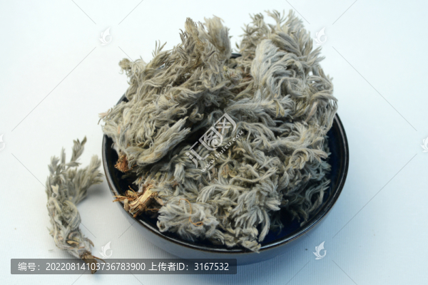中草藥茵陳