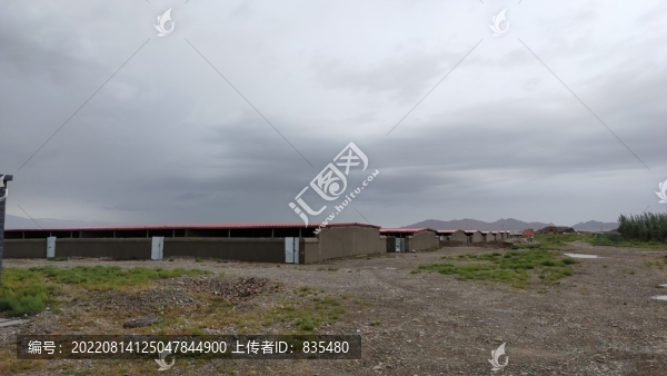 養(yǎng)殖羊基地