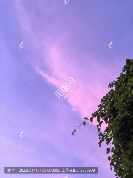 打卡天空