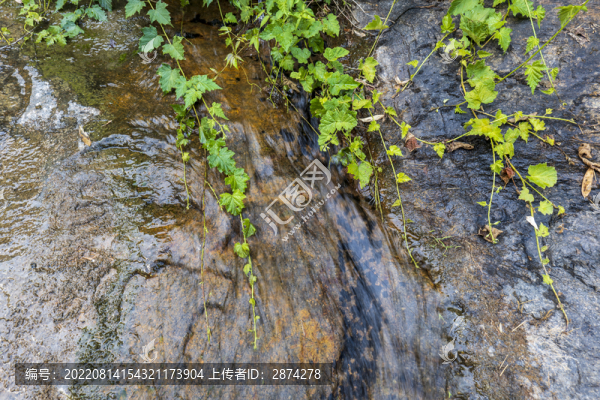 山間小溪流水