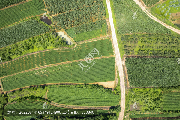 航拍戶外農(nóng)田土路