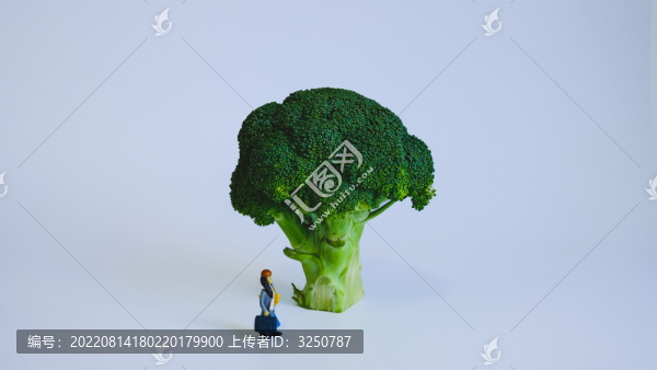 西蘭花微縮