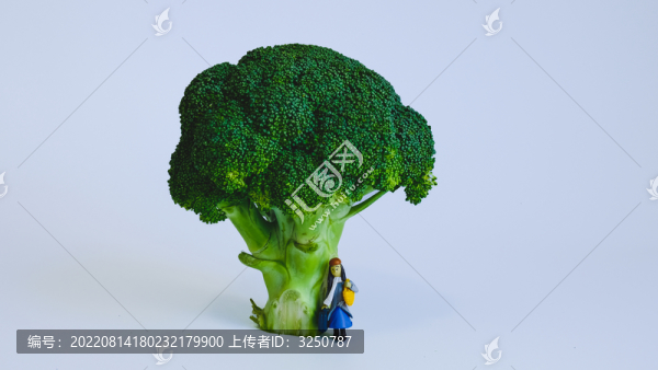 小人國西蘭花