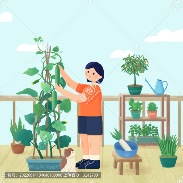 女孩居家種菜陽臺菜園