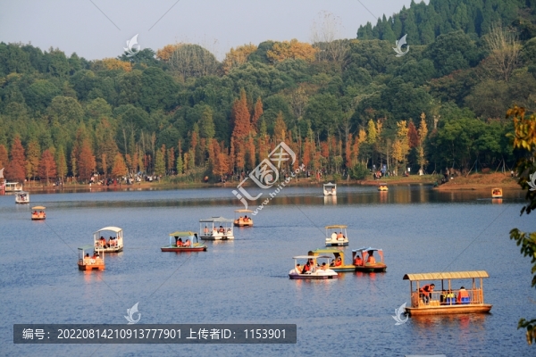 公園游船