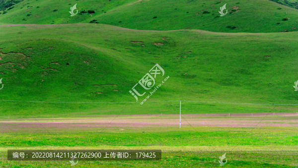 川西甘孜理塘毛埡大草原