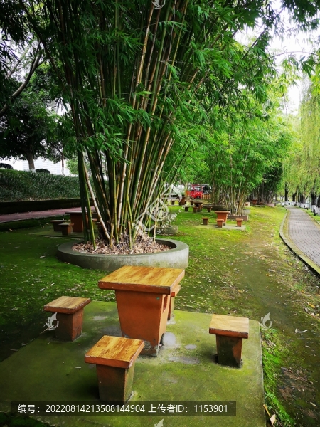 公園座椅