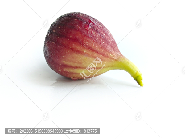 白底無花果