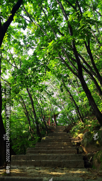 石階深處